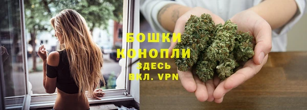 амф Арсеньев