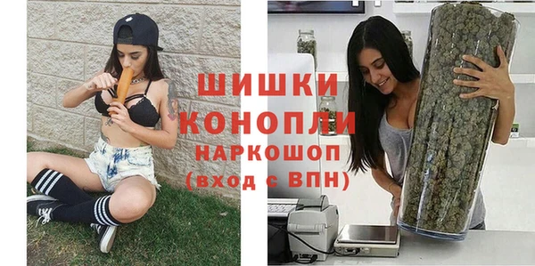 хмурый Аркадак