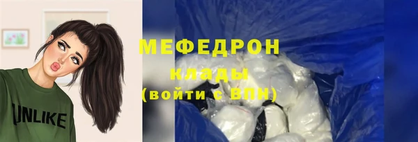 хмурый Аркадак