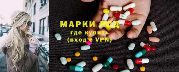 тгк Алзамай