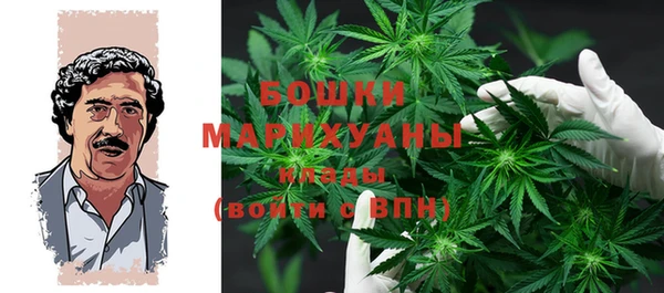 амф Арсеньев