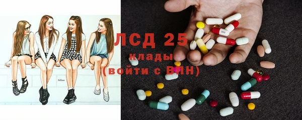 хмурый Аркадак