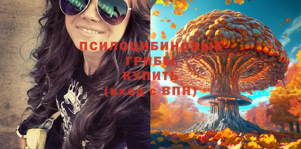 тгк Алзамай