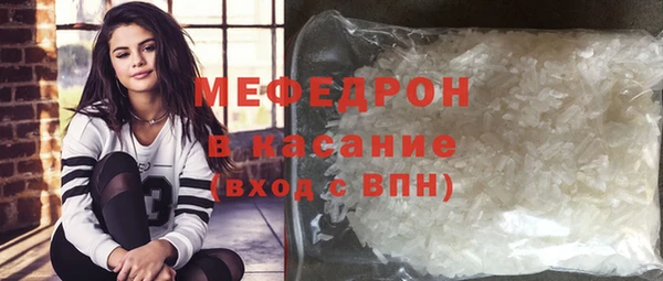 хмурый Аркадак