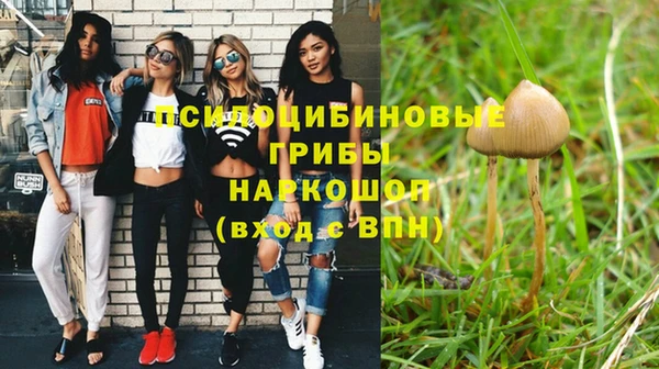 амф Арсеньев