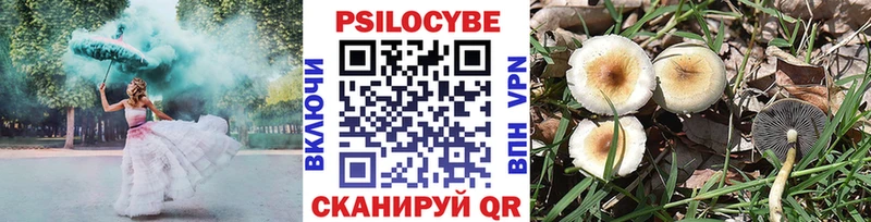магазин продажи   Тогучин  даркнет наркотические препараты  Псилоцибиновые грибы ЛСД 